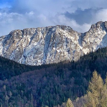 Apartament Rysy Apartamentyzakopianskie Basen Sauna Jacuzzi Zakopane Eksteriør billede