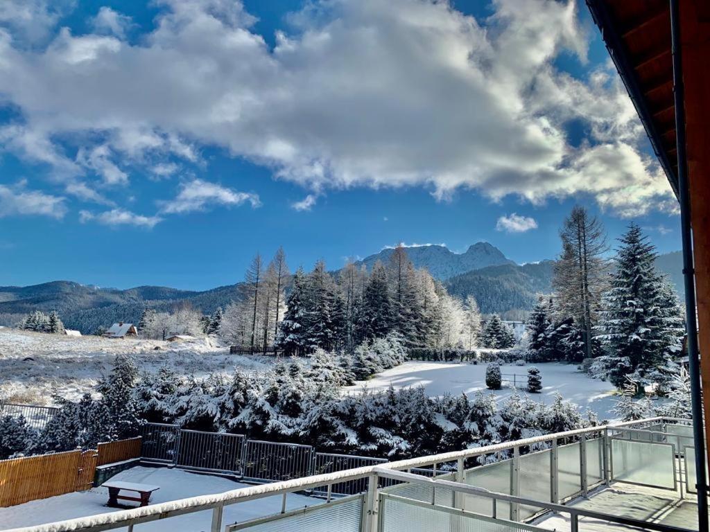 Apartament Rysy Apartamentyzakopianskie Basen Sauna Jacuzzi Zakopane Eksteriør billede