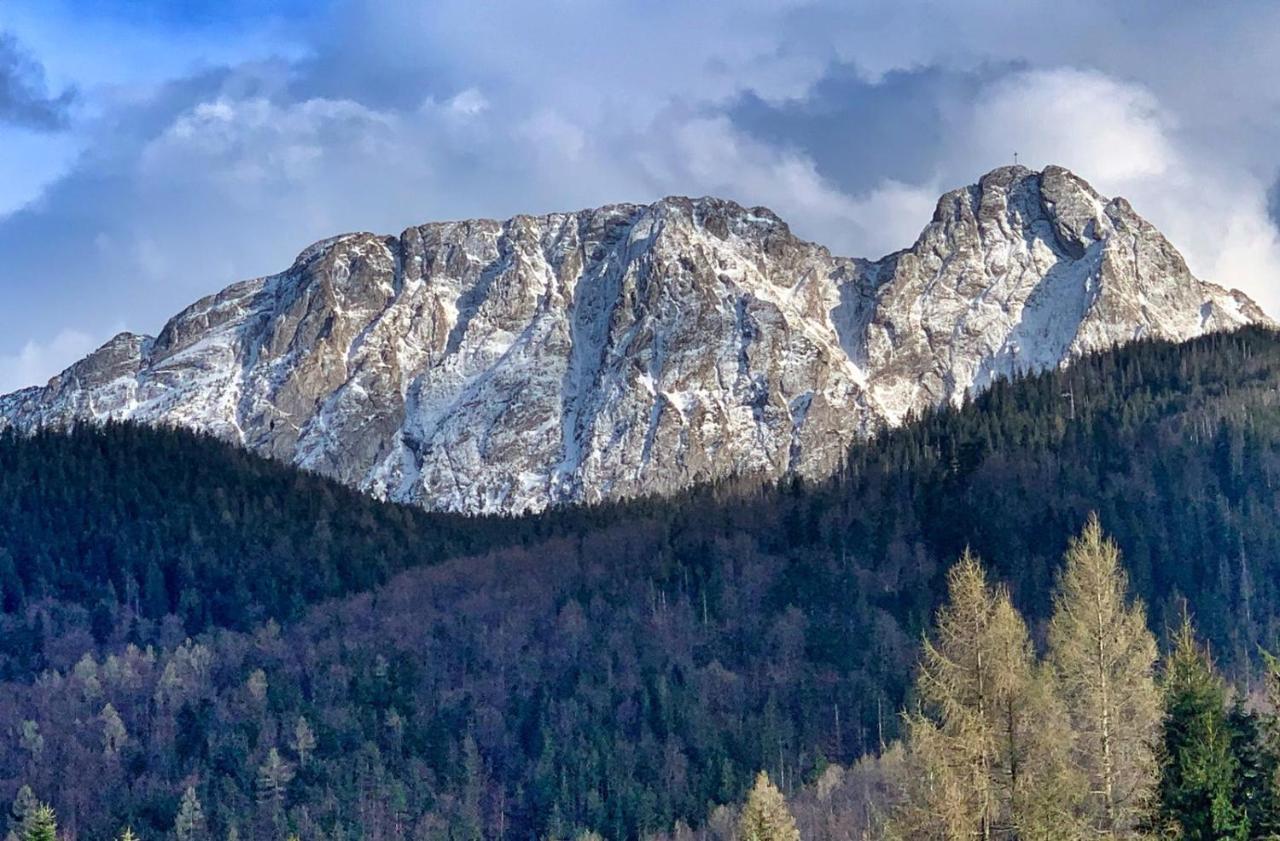 Apartament Rysy Apartamentyzakopianskie Basen Sauna Jacuzzi Zakopane Eksteriør billede